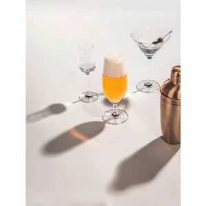 Schott Zwiesel Martiniglas Classico 9